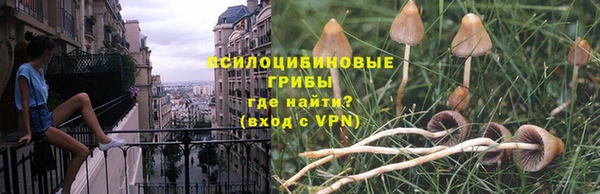 дживик Алексеевка
