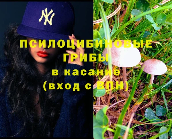 дживик Алексеевка