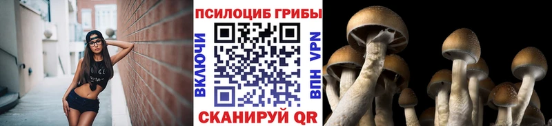 продажа наркотиков Усолье-Сибирское Псилоцибиновые грибы прущие грибы